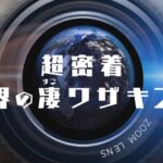 【見逃し配信】超密着！世界の凄ワザキング7月15日＜沖縄・伊良部島/伝統漁/動画/NHKオンデマンド/再放送/無料/TVer＞2024年7月15日FULL LIVE