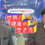 【動画】世界健康の歩き方見逃し配信再放送NHK無料フル視聴＜カラダのウワサ検証バラエティ＞はこちら！