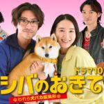 【見逃し配信】シバのおきて1話～最終回ドラマ動画再放送無料NHKフル視聴＜〜われら犬バカ編集部＞はこちら！
